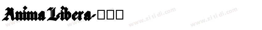 Anima Libera字体转换 Anima Libera字体转换